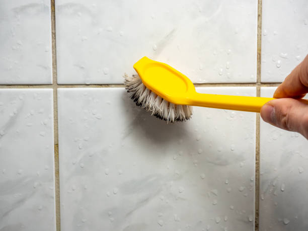 Best Toxic Mold Removal  in Chincoteague, VA