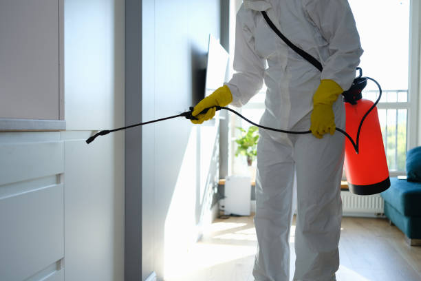 Mold Removal Process in Chincoteague, VA
