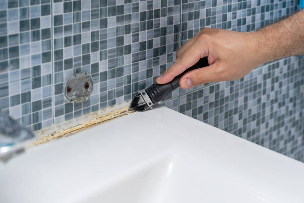 Best Black Mold Removal  in Chincoteague, VA