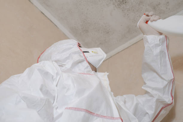 Best Commercial Mold Removal  in Chincoteague, VA