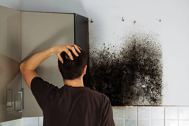 Best Mold Cleaning Services  in Chincoteague, VA